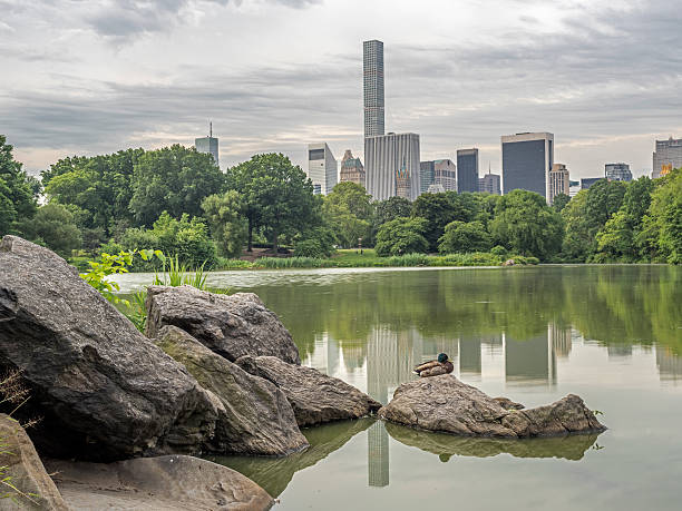 istock Lower Manhattan in New York City 600132094