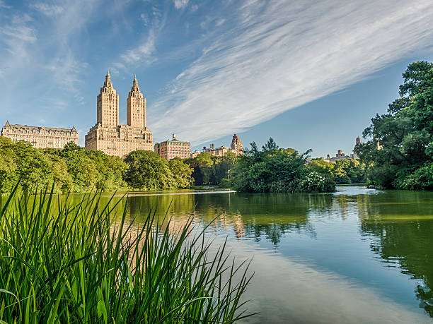 istock At the lake Central Park 600132960
