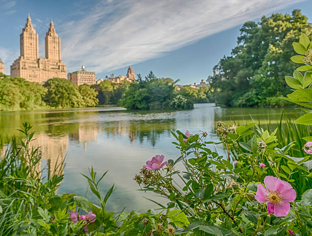 istock Lower Manhattan in New York City 600133038