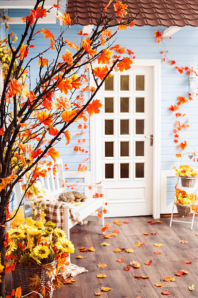 istock Marple tree with orange leaves on the yard 600133412