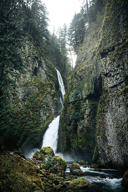 istock Wahclella Falls in the Columbia Gorge 600134108