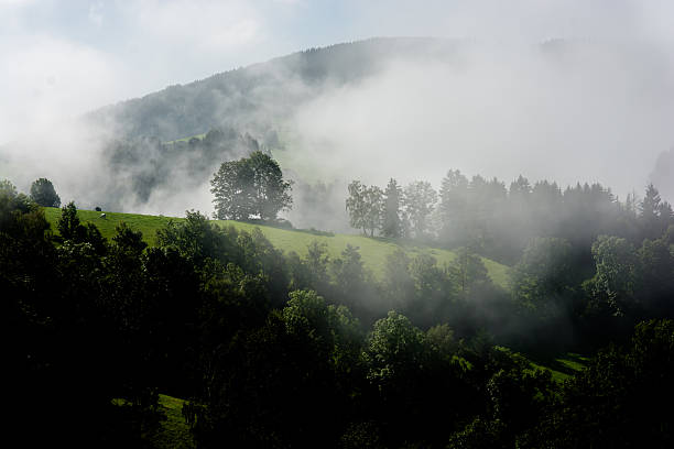 istock Foggy valley in Styria in Austria 600138784