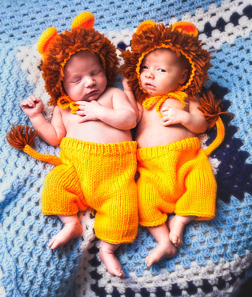 사자 새끼로 옷을 입은 쌍둥이 아기 소년 - costume halloween lion baby 뉴스 사진 이미지
