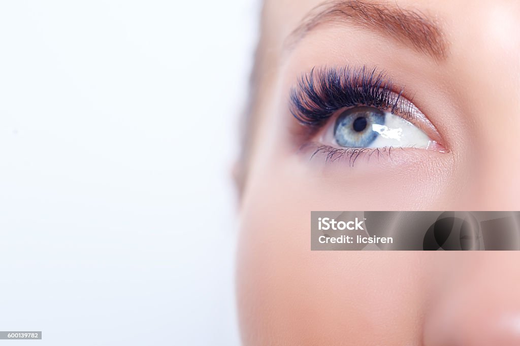 Woman Eye with Long Eyelashes. Eyelash Extension. Lashes, close up, Woman Eye with Long Eyelashes. Eyelash Extension. Lashes. Close up, selected focus Eyelash Stock Photo