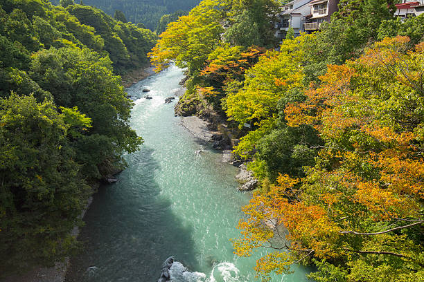 istock Autumn leaves in Japan 600141212