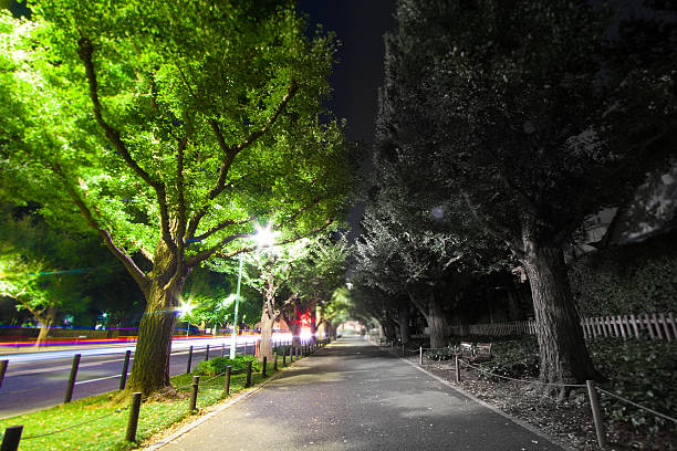 istock Tokyo Aoyama Meiji Jingu Gaien 600144326