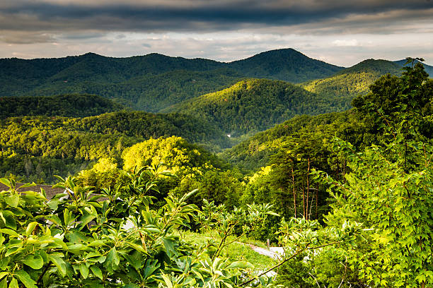 istock The Smoky Mountains under green foliage 600145188