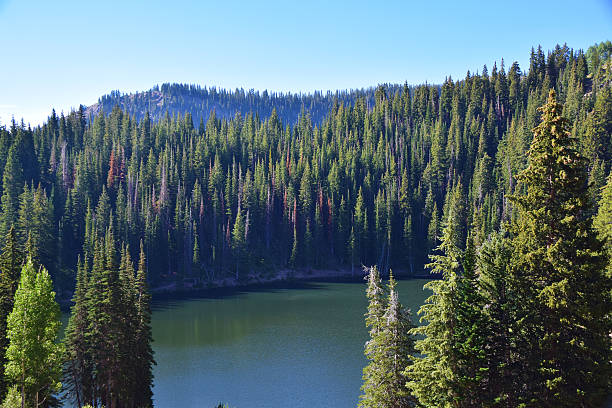 istock Blood Lake, Utah 600145718