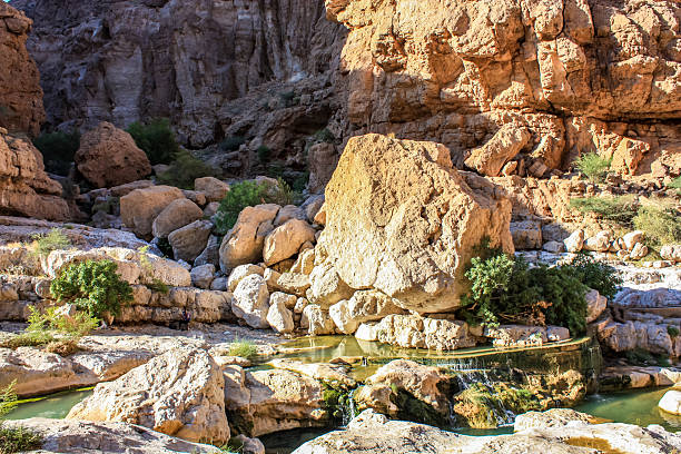 Wadi Shab in Oman Detail of the Wadi Shab in Oman wadi shab stock pictures, royalty-free photos & images