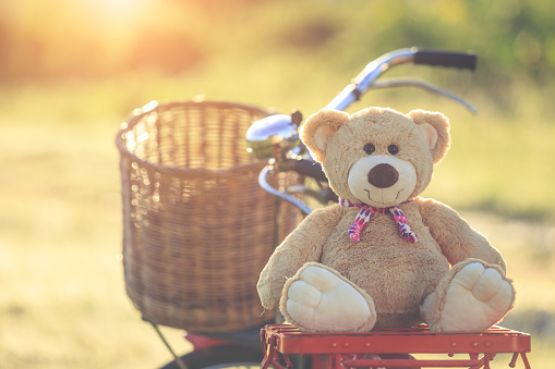 Close up lovely brown teddy bear in rattan basket on vintage bike in green field with lens flare. Warm toning effect. Retro and vintage style