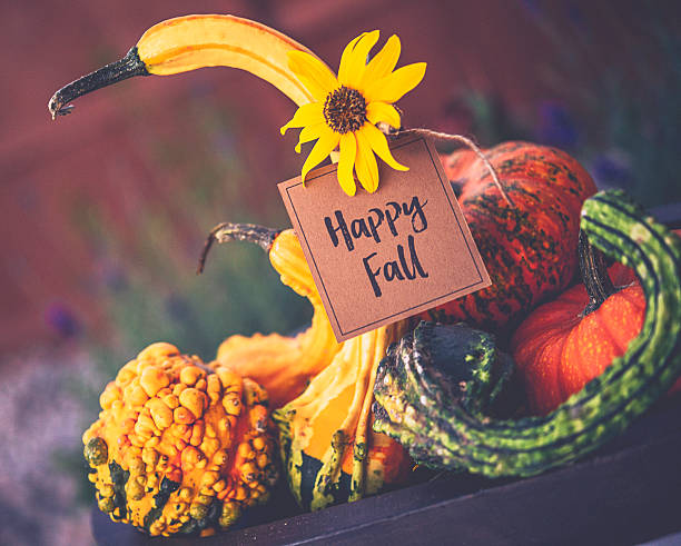 istock Thanksgiving still life background with pumpkins, gourds and message 600151052