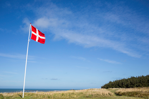 Danish flag on the pole 