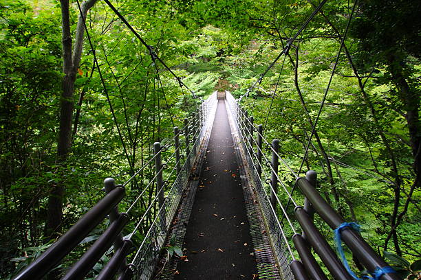 daisentaki hängebrücke in tottori, japan - spring waterfall japan landscape stock-fotos und bilder