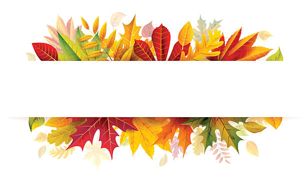 Autumn bunner vector art illustration