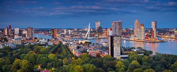 rotterdam panorama. - rotterdam stock-fotos und bilder