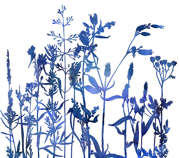 istock silhouettes of flowers and grass 600165076