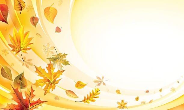 떨어지는 잎  - leaf autumn falling thanksgiving stock illustrations