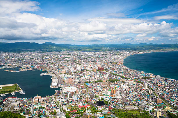 istock Hakodate Top view on Hokkaido, Japan 600168180