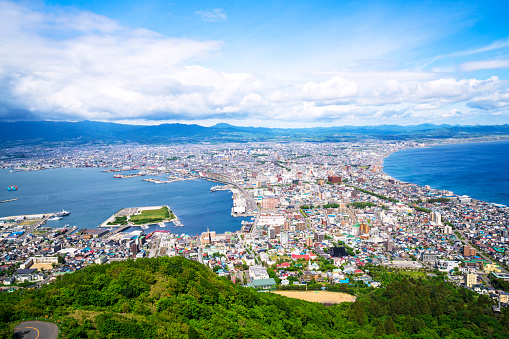 Top view of Hakkodate roofs  from mount Hakodate at the beginiing of Hokkaido,  Japan. This place is famous for night view, one of the best in Japan.