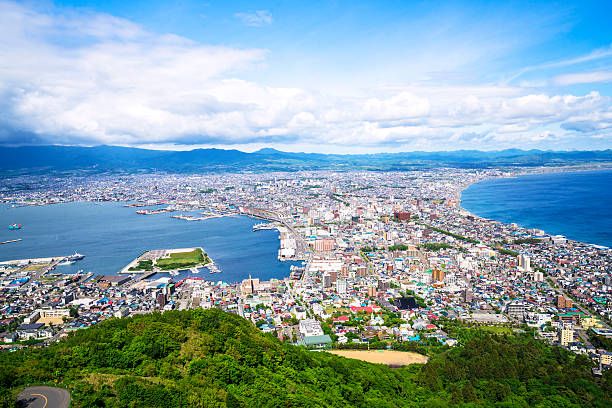 Hakodate Top view on Hokkaido, Japan Top view of Hakkodate roofs  from mount Hakodate at the beginiing of Hokkaido,  Japan. This place is famous for night view, one of the best in Japan. hokkaido stock pictures, royalty-free photos & images