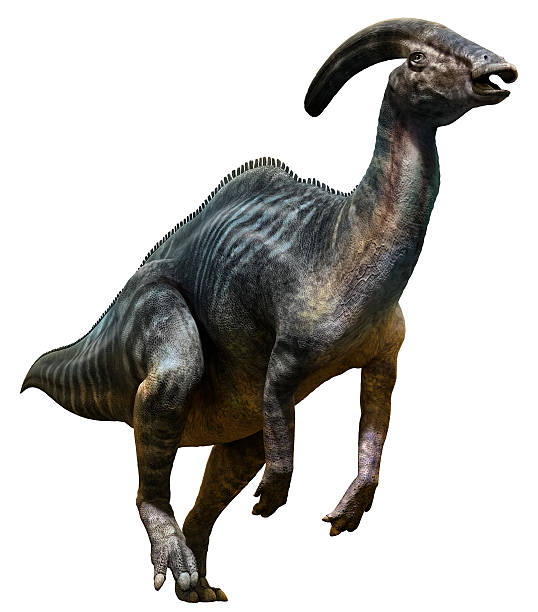 Parasaurolophus Parasaurolophus running cretaceous photos stock pictures, royalty-free photos & images