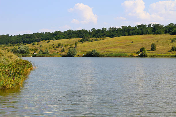 istock Beautiful lake on summer 600373634