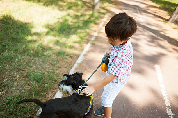 kleiner junge zu fuß mit seinem hund - dog walking child little boys stock-fotos und bilder