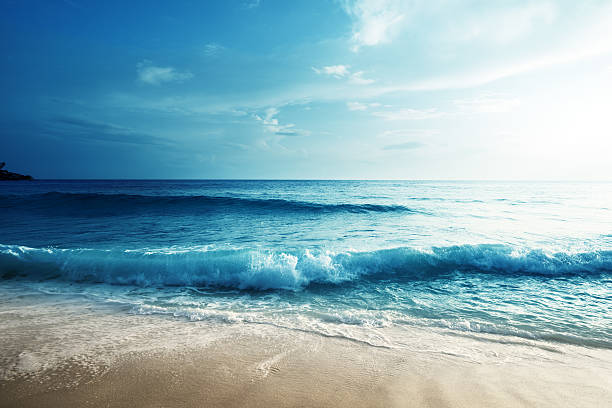 sonnenuntergang am strand auf den seychellen - ocean scenic stock-fotos und bilder