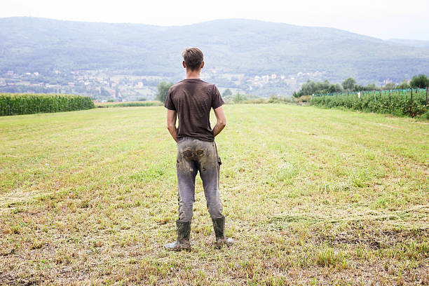 istock back of dirty harvesting helper who standing at wide fields 600382272