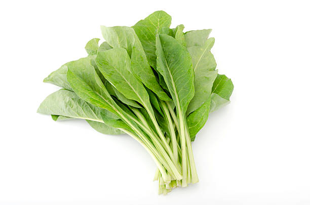 istock NIGANA Vegetables,pieces of vegetables 600384022
