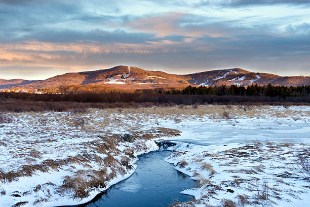 valle innevata e piste da sci di montagna - canaan valley foto e immagini stock