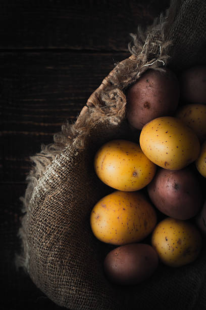 istock Potatoes mix on dish with canvas on wooden table vertical 600386016