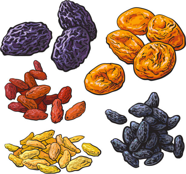 illustrations, cliparts, dessins animés et icônes de ensemble de fruits secs - pruneaux, abricots et raisins secs - abricot sec