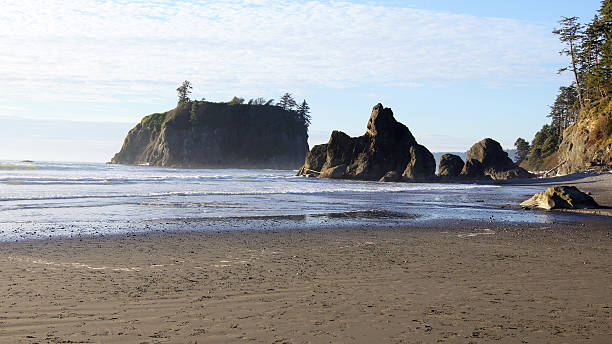 istock OLYMPIC NATIONAL PARK, USA, 03th OCTOBER 2014 - Ruby Beach 600390590