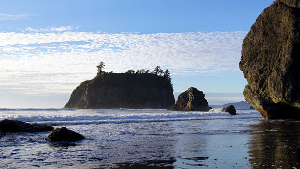istock OLYMPIC NATIONAL PARK, USA, 03th OCTOBER 2014 - Ruby Beach 600392310