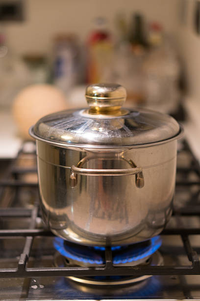 istock Stainless pot on a gas stove 600392974