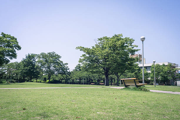 istock Scenery with the bench / Open space of the park 600393256