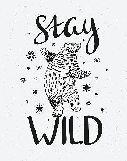Hand drawn dancing bear. Hand drawn dancing bear. Vector sketch illustration with stylish lettering "stay wild". bear illustrations stock illustrations