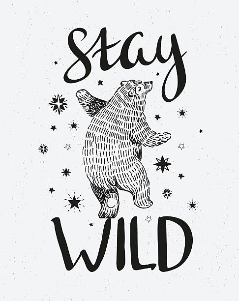 Hand drawn dancing bear. Hand drawn dancing bear. Vector sketch illustration with stylish lettering "stay wild". edgy drawings stock illustrations