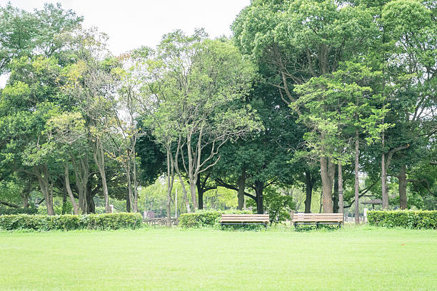 istock Scenery with the bench / Misato Park 600394140