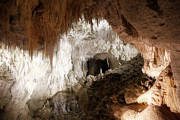 Stalagmites and stalactites in Ruakuri Cave, Waitomo, NZ Stalagmites and stalactites in Ruakuri Cave, Waitomo, New Zealand. waitomo caves stock pictures, royalty-free photos & images