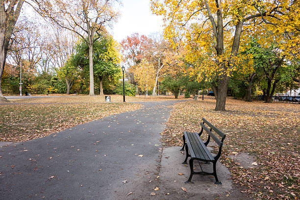 istock Autumn at Prospect Park 600394800