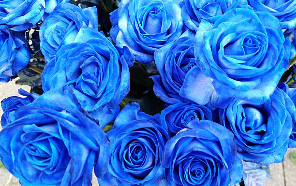 istock Bouquet of blue roses 600394830