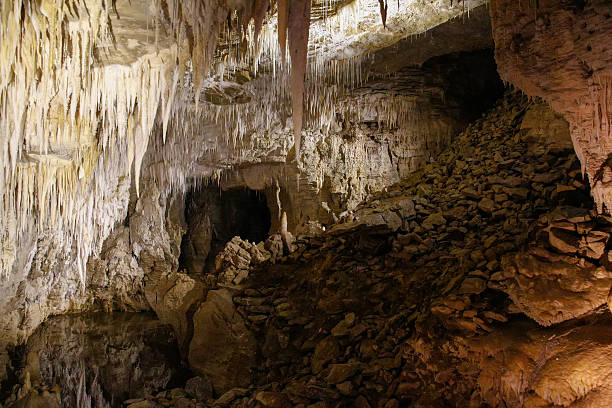 istock Stalagmites and stalactites in Ruakuri Cave, Waitomo, NZ 600394910