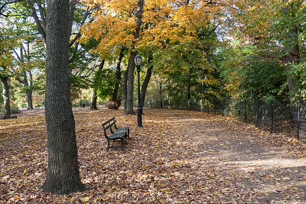 istock Autumn at Prospect Park 600394950