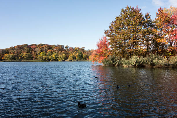 istock Autumn at Prospect Park 600395004