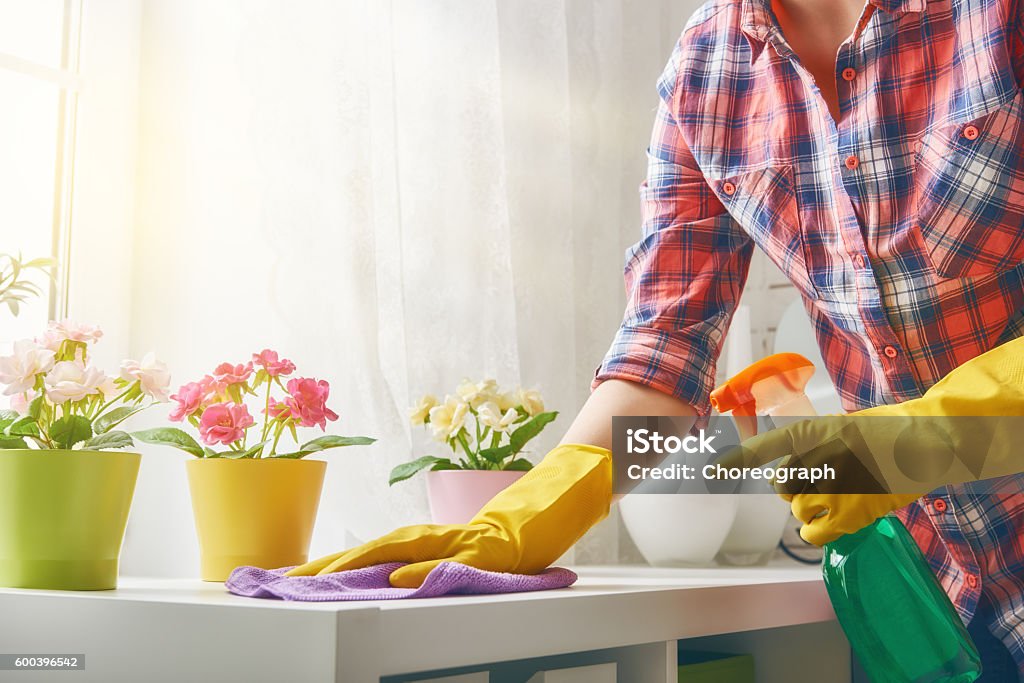 woman makes cleaning Beautiful young woman makes cleaning the house. Girl rubs dust. Cleaning Stock Photo