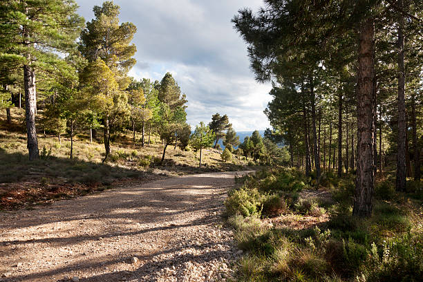 istock Way to La Picosa. Spains 600397804