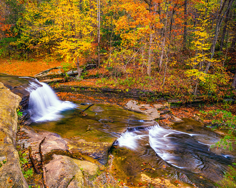 Autumn forest with waterfall in the hardwood foreat at Hocking Hills State Park, Ohio