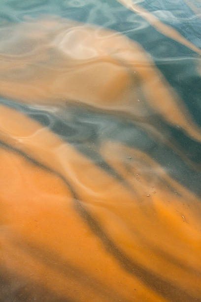 istock Water Pollution - Oil and Sludge 600400068